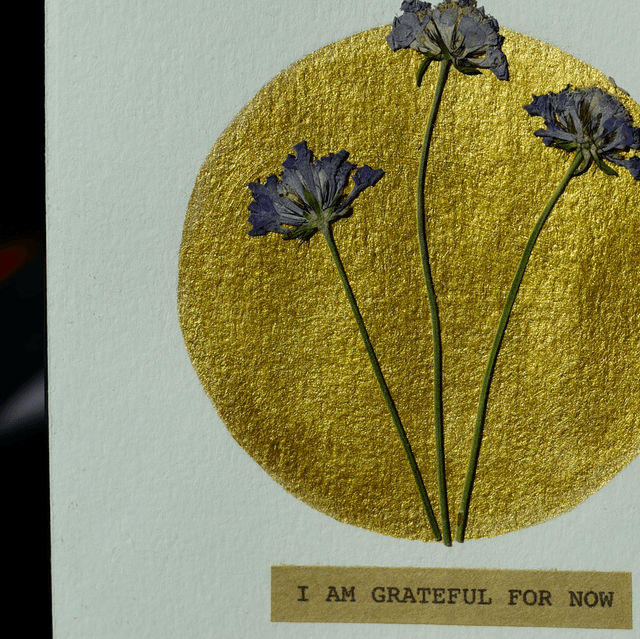 carte postale • i am grateful for now