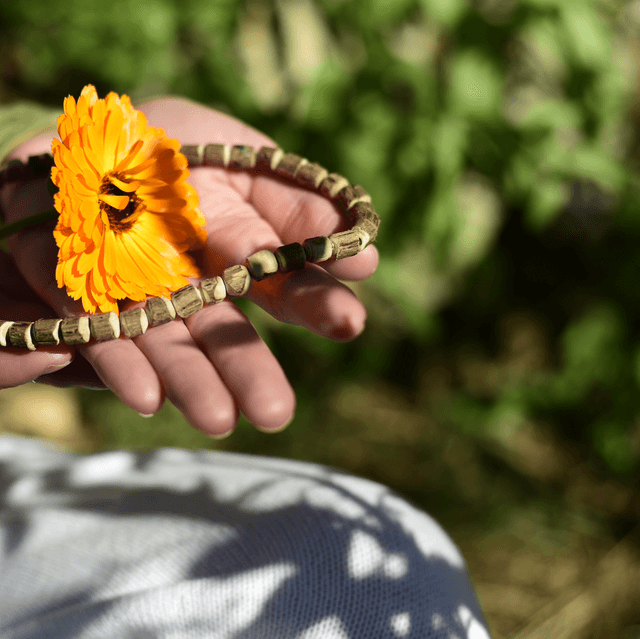 collier tulsi 