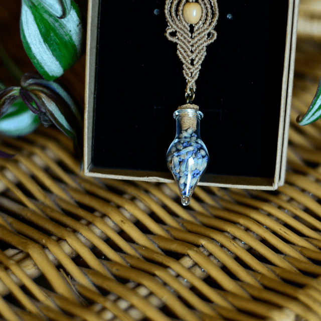 talisman lavandula