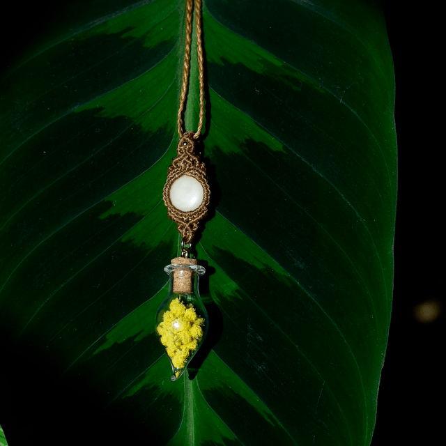 talisman mimosamour