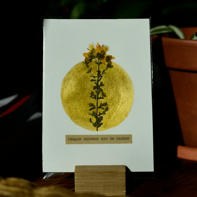 carte postale • chaque seconde est un cadeau