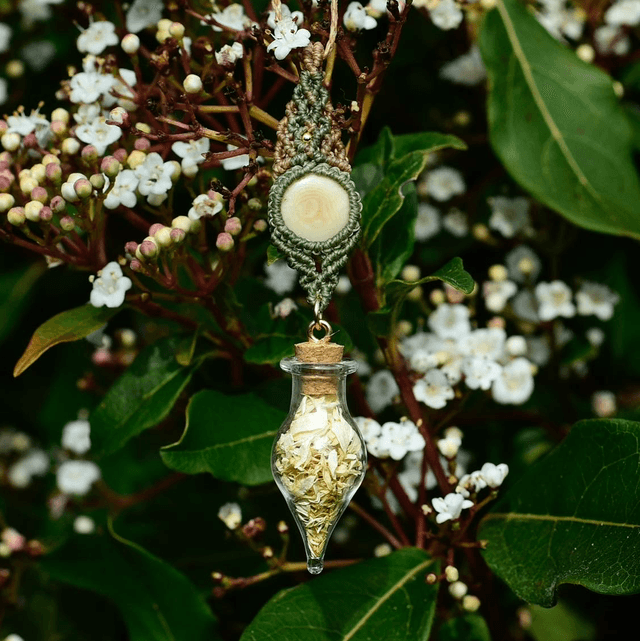talisman anthemis 