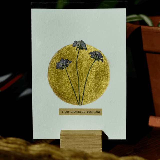 carte postale • i am grateful for now